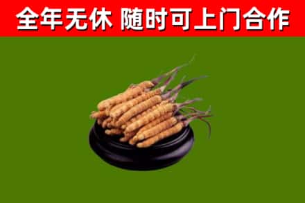 庆安县烟酒回收冬虫夏草.jpg